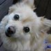 Profile Picture of Linda Lytle-Foster (@lindalytlefoste) on Pinterest