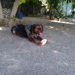 Profile Picture of Elisa (@elisa_navarro_lora) on Instagram