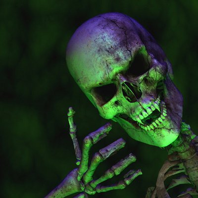 Profile Picture of Randy Kriz (@iammrturtle) on Twitter