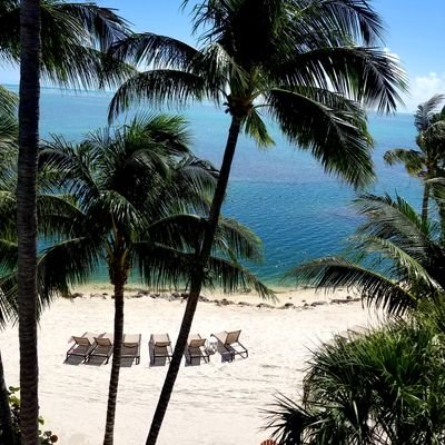 Profile Picture of Cindy McCartney (@4theloveofcindy) on Twitter