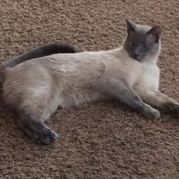 Profile Picture of Erica Sleik (@beaksy) on Poshmark