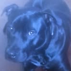 Profile Picture of Brian Miller (@brian.miller.14013) on Facebook