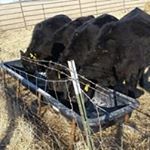 Profile Picture of Jeffrey Montroy (@jeffreymontroy) on Instagram