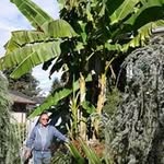 Profile Picture of Wayne Wiles (@wiles_wayne) on Instagram