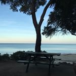 Profile Picture of Joanne Colvin (@joannecolvin) on Instagram