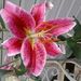 Profile Picture of Debbie Keeley (@djk321) on Pinterest