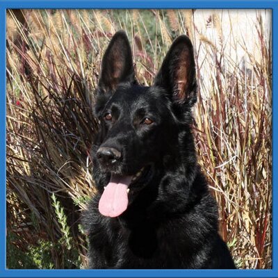 Profile Picture of Patrick Wolff (@alpinegift) on Twitter