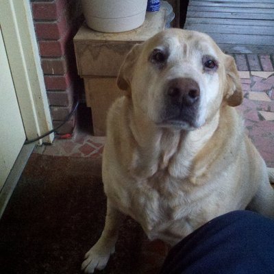 Profile Picture of Laurence Clements (@eqlaurence) on Twitter