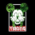 Nathaniel Vasquez - Instagram Profile Picture of Nathaniel Vasquez (@crispy_kush420) on Instagram