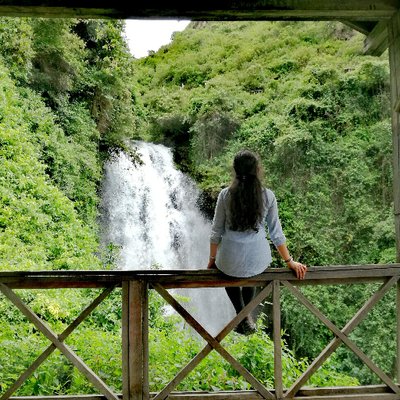 Profile Picture of Mariela Haro (@LilianMarielaHa) on Twitter