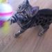 Profile Picture of Sarah Robins-Paterson (@srobpat) on Pinterest