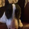 Profile Picture of jasontrigg69 (@@jasontrigg69) on Tiktok
