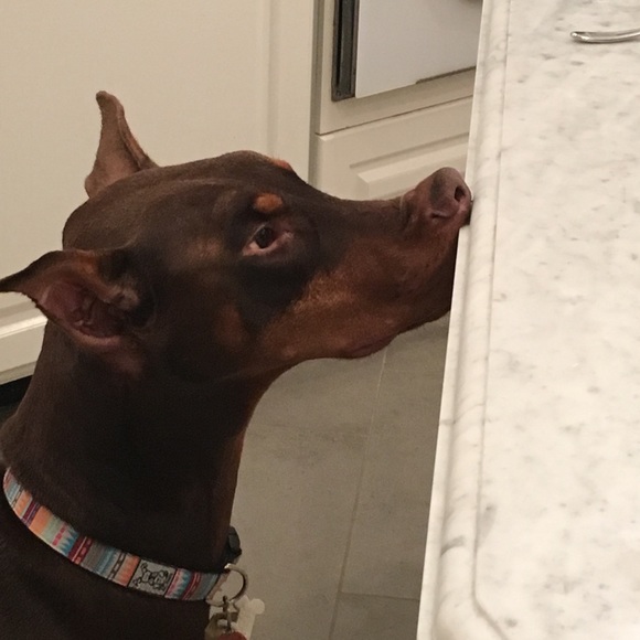 Profile Picture of Giovanna Orecchio (@vannaorecchio) on Poshmark