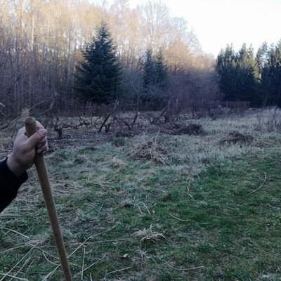 Kelemen Lóri - Twitter Profile Picture of Kelemen Lóri (@kelemen_lori) on Twitter