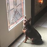 Profile Picture of Carlotta Walker (@cjwalkrn) on Instagram