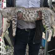 Profile Picture of Rhonda Sinclair (@RhondaSinclair) on Youtube