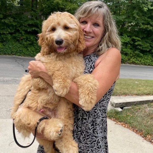 Profile Picture of Michelle Deverell (@michellesusan62) on Poshmark