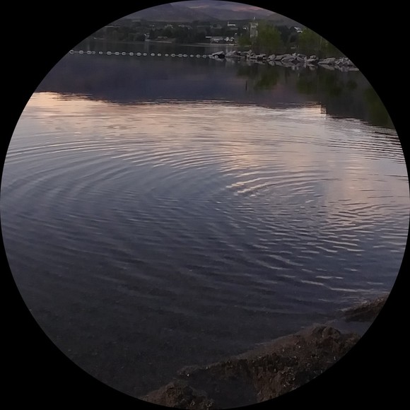 Profile Picture of Ariel Dunn (@catsrocksocks) on Poshmark