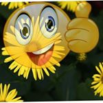 Profile Picture of Nancy blair (@nancyblair_19865x2d) on Instagram