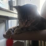 Michaela Lasher - Facebook Profile Picture of Michaela Lasher (@Michaela-Lasher) on Facebook