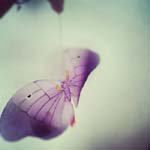 Profile Picture of _Marshall_Dunlap_ (@_marshall_dunlap_c) on Instagram