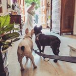 Profile Picture of Neal&Stella (@_neal_and_stella_) on Instagram