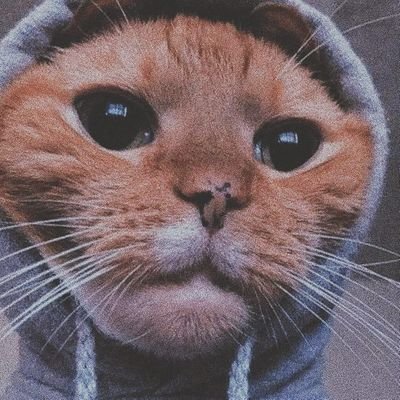 Profile Picture of Jázmin Tóth (@Haley_Happy__) on Twitter
