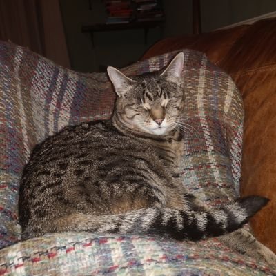 Profile Picture of Andrew Mann (@Pike78Mann) on Twitter