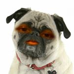 Profile Picture of makayla  payne (@kayla.pyn) on Instagram