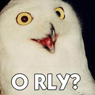 Profile Picture of Colter Hansen (@HansenMoto) on Twitter