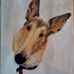 Profile Picture of Jordy Hall (@jordy.hall.73) on Facebook