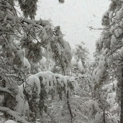 Profile Picture of Alexander Arrington (@alexanderarrington7203) on Youtube