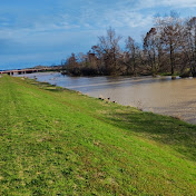 Profile Picture of Sharon Barton (@sharonbarton4600) on Youtube