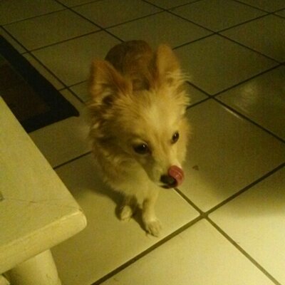 Profile Picture of Corey Gall (@GallCorey) on Twitter