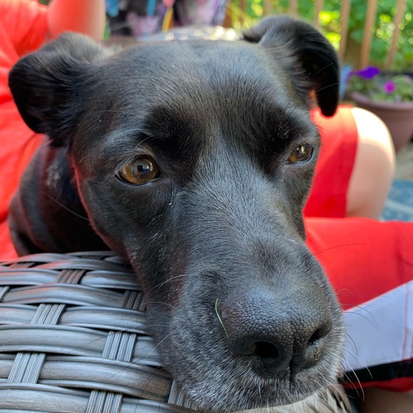 Profile Picture of Jason Litt (@jason_litt) on Poshmark