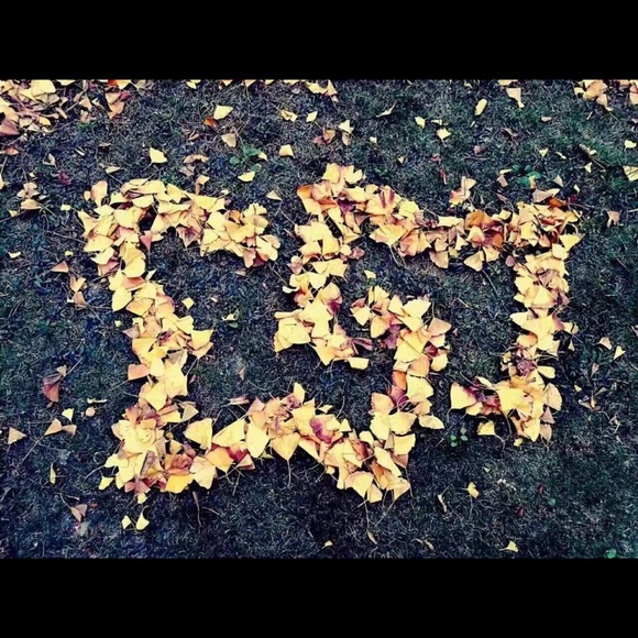 Tony Wang - Poshmark Profile Picture of Tony Wang (@cka0622) on Poshmark