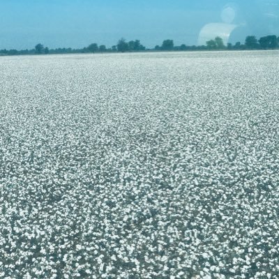 Profile Picture of JT Harper (@jharp410) on Twitter