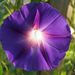 Profile Picture of Gary Hollar (@garyhollar) on Pinterest