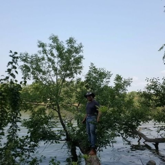 Profile Picture of Bernardo Alva (@beralva07) on Poshmark