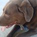 Profile Picture of Gary Royce (@gary.royce.754) on Facebook