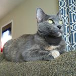 Profile Picture of Patrick Moreland (@patty_moreland) on Instagram