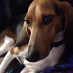 Profile Picture of Roxanne Lowe-Pietz (@love.roxanne) on Instagram