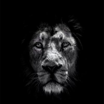 Profile Picture of Joseph (@josephbatte2) on Twitter