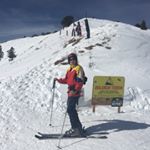 Profile Picture of Steven Billet (@billetsteven) on Instagram