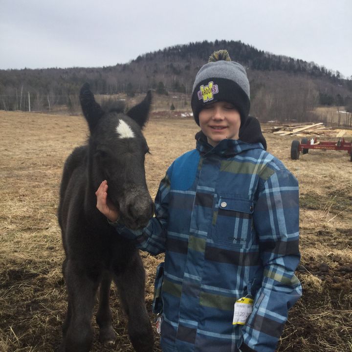 Profile Picture of Maxcote (@maxcoteo7) on Tiktok