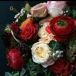 Profile Picture of golden_easter_clint (@golden_easter_clint) on Instagram