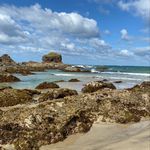 Profile Picture of Dayna Marie Wells (@daynamwells) on Instagram