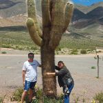 Es Tan Perfecto Que Asusta ♥♬♪ - Instagram Profile Picture of Es Tan Perfecto Que Asusta ♥♬♪ (@carlita.martinez.07) on Instagram