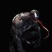 Profile Picture of Manuel Mack (@manuel.mack.146) on Facebook