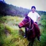 Profile Picture of Tobias Andrews (@toby_tucka) on Instagram